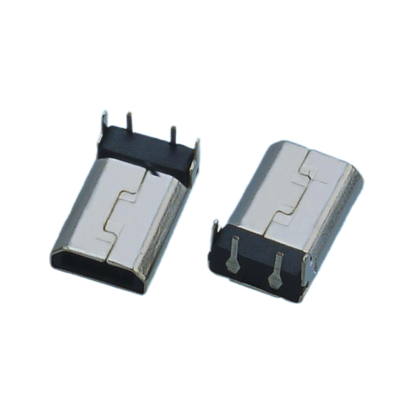 DSL-2P-MALE-R